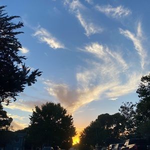 Meet your Posher, Lizzette